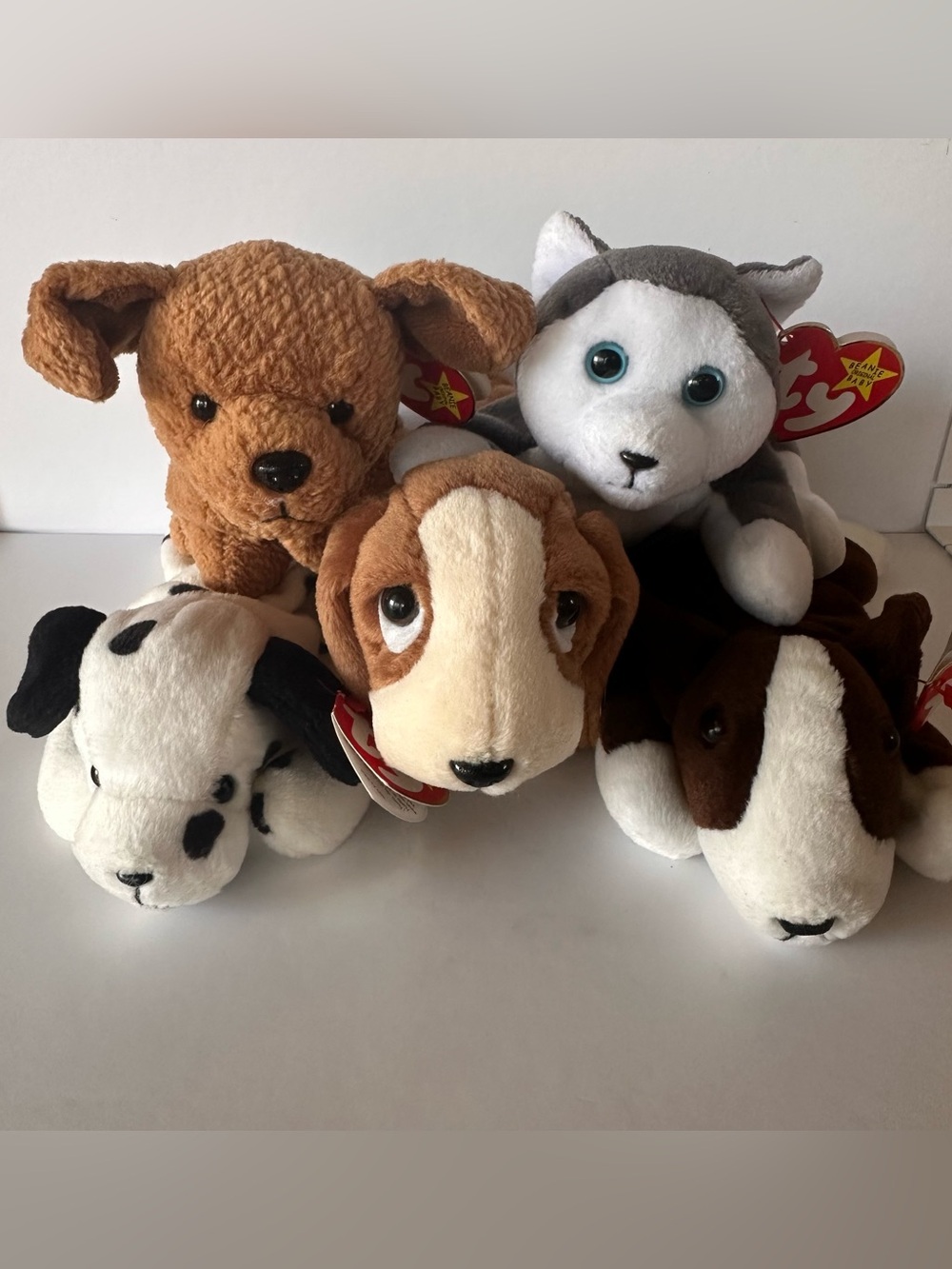 Vintage TY Beanie Babies Dog Lot 5 Tuffy Dotty Nanook Bruno Tracker Tags